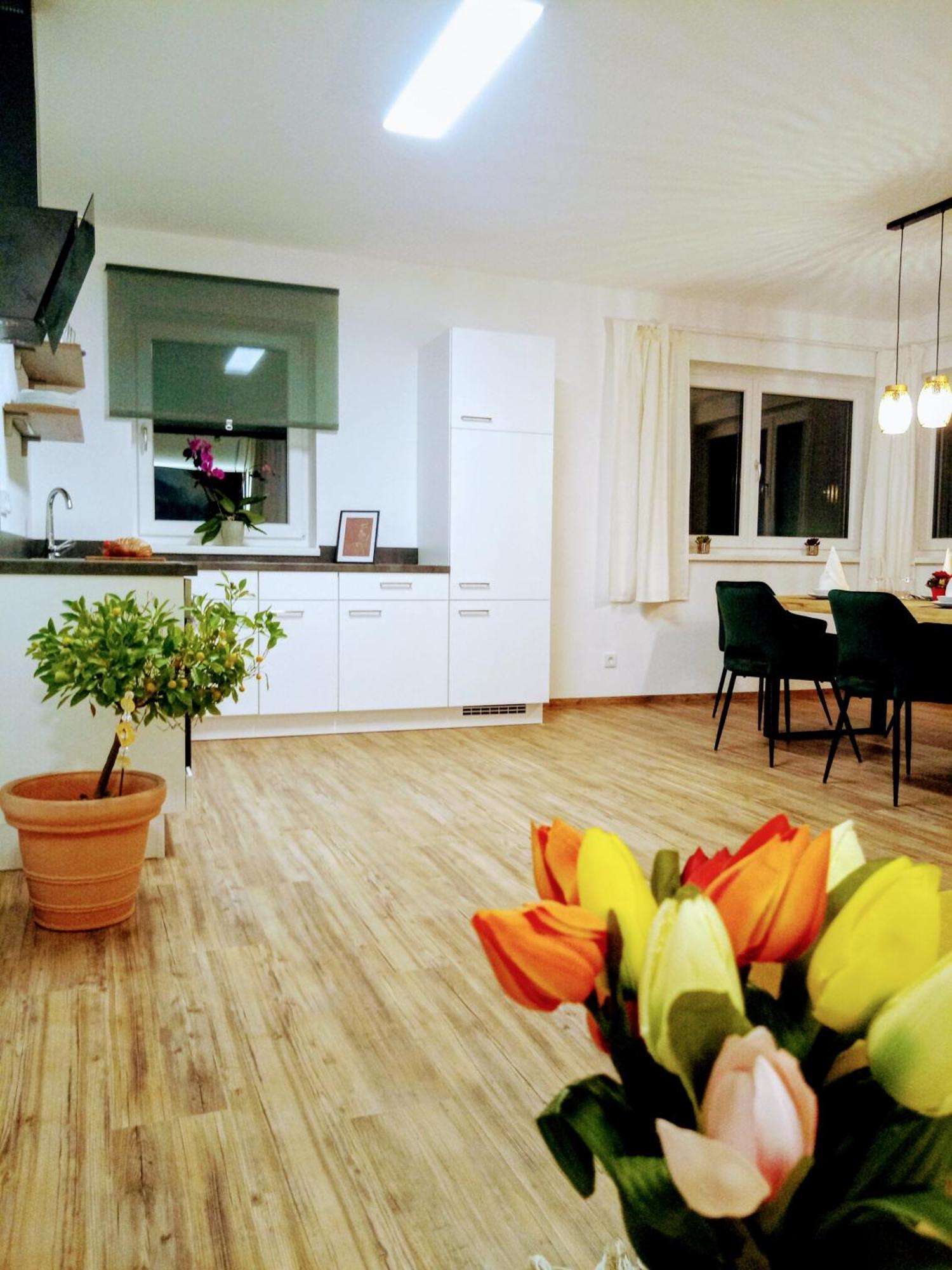 Appartement Dangos Mountainview Gosau Extérieur photo